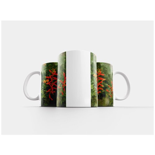 фото Кружка "цветок, флора, природа" 320 мл lotsprints