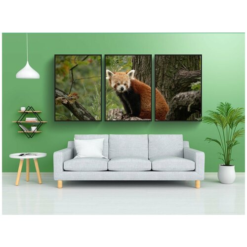 фото Набор модулных постеров для интерьера "животное, панда, красный" 60x90 см. в тубусе, без рамки lotsprints
