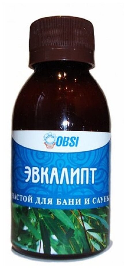 OBSI Ароматизатор Эвкалипт