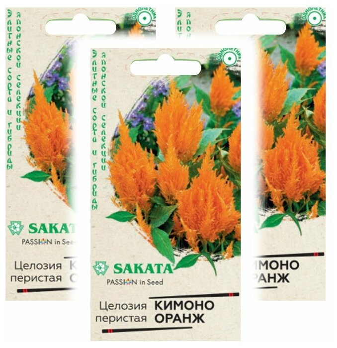 Комплект семян Целозия Кимоно Оранж перистая Саката серия Элитная клумба х 3 шт.
