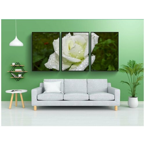 фото Набор модулных постеров для интерьера "роза, цветок, белый" 60x90 см. в тубусе, без рамки lotsprints