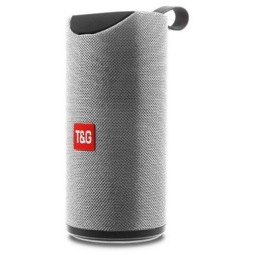 Колонка портативная BLUETOOTH C USB TG113 10W серый 90000₽