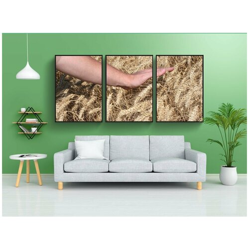 фото Набор модулных постеров для интерьера "посев, урожай, пшеница" 60x90 см. в тубусе, без рамки lotsprints