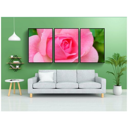 фото Набор модулных постеров для интерьера "роза, цветок, цвести" 60x90 см. в тубусе, без рамки lotsprints