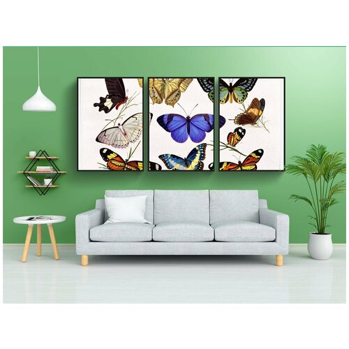 фото Набор модулных постеров для интерьера "винтаж, бабочки, красочный" 60x90 см. в тубусе, без рамки lotsprints