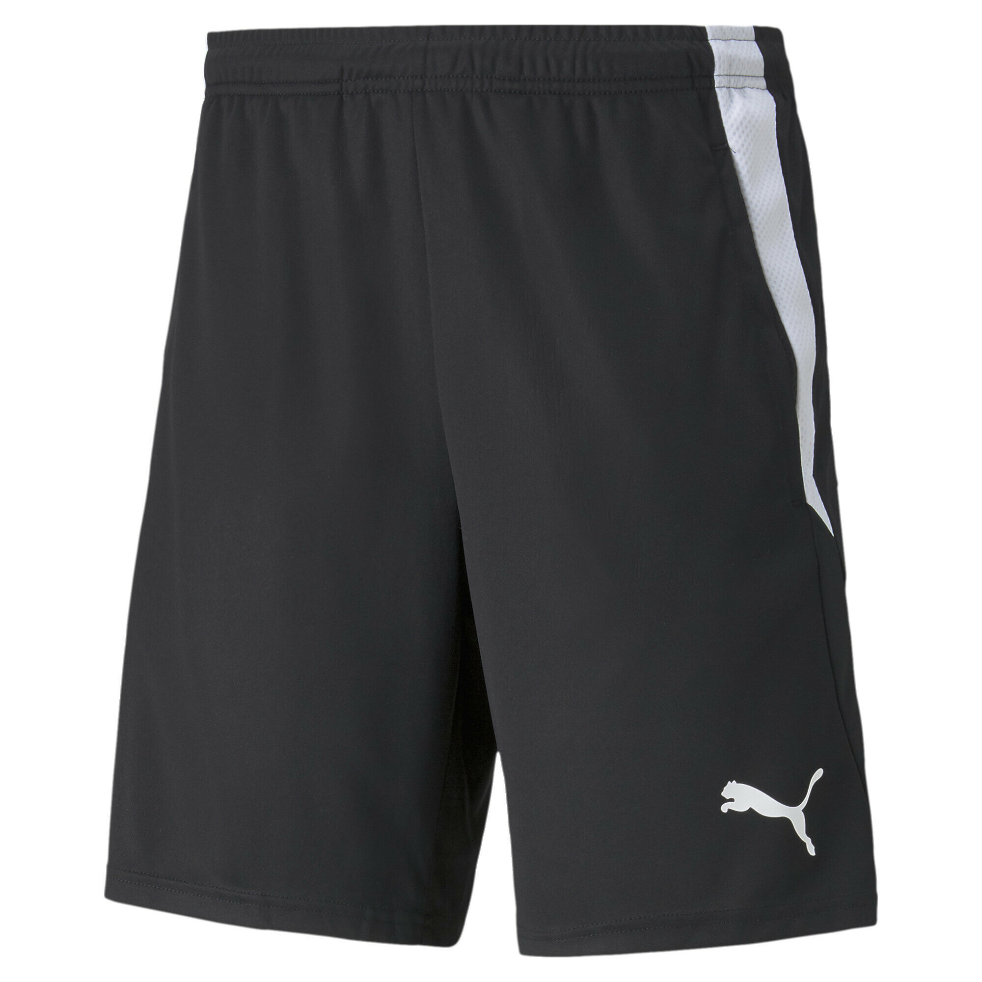 фото Шорты спортивные PUMA Teamliga Training Men's Football Shorts 2