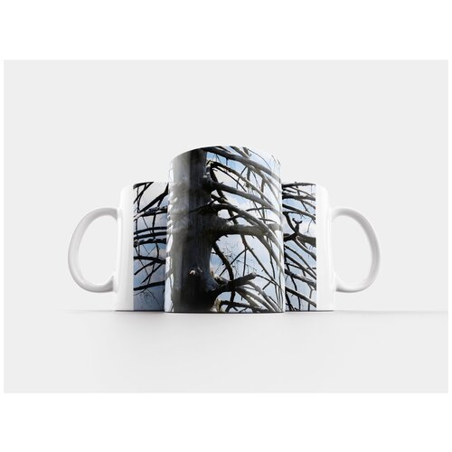 фото Кружка "дерево, структура, старое дерево" 320 мл lotsprints