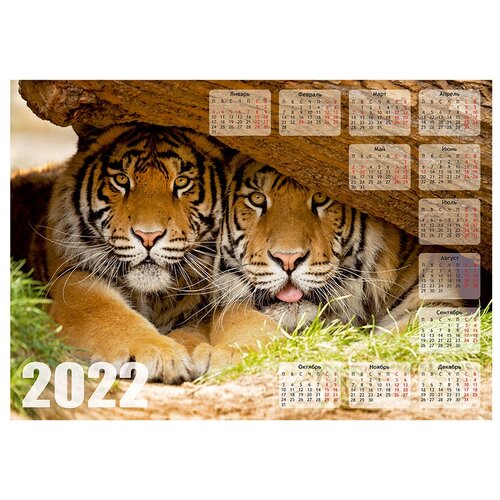 Купить Календарь Woozzee Тигры под деревом KLS-1336-2601