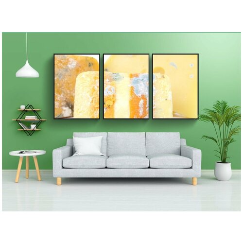 фото Набор модулных постеров для интерьера "возраст, бактерии, биография" 60x90 см. в тубусе, без рамки lotsprints