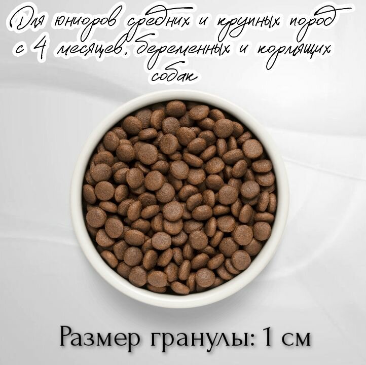 Сухой корм для собак PREMIER Dog Turkey JUNIOR Medium&Maxi (Свежее мясо индейки для юниоров средних и крупных пород) 10 кг — фото 1