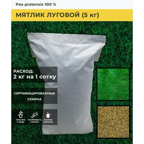 Семена газона Мятлик луговой (5 кг)