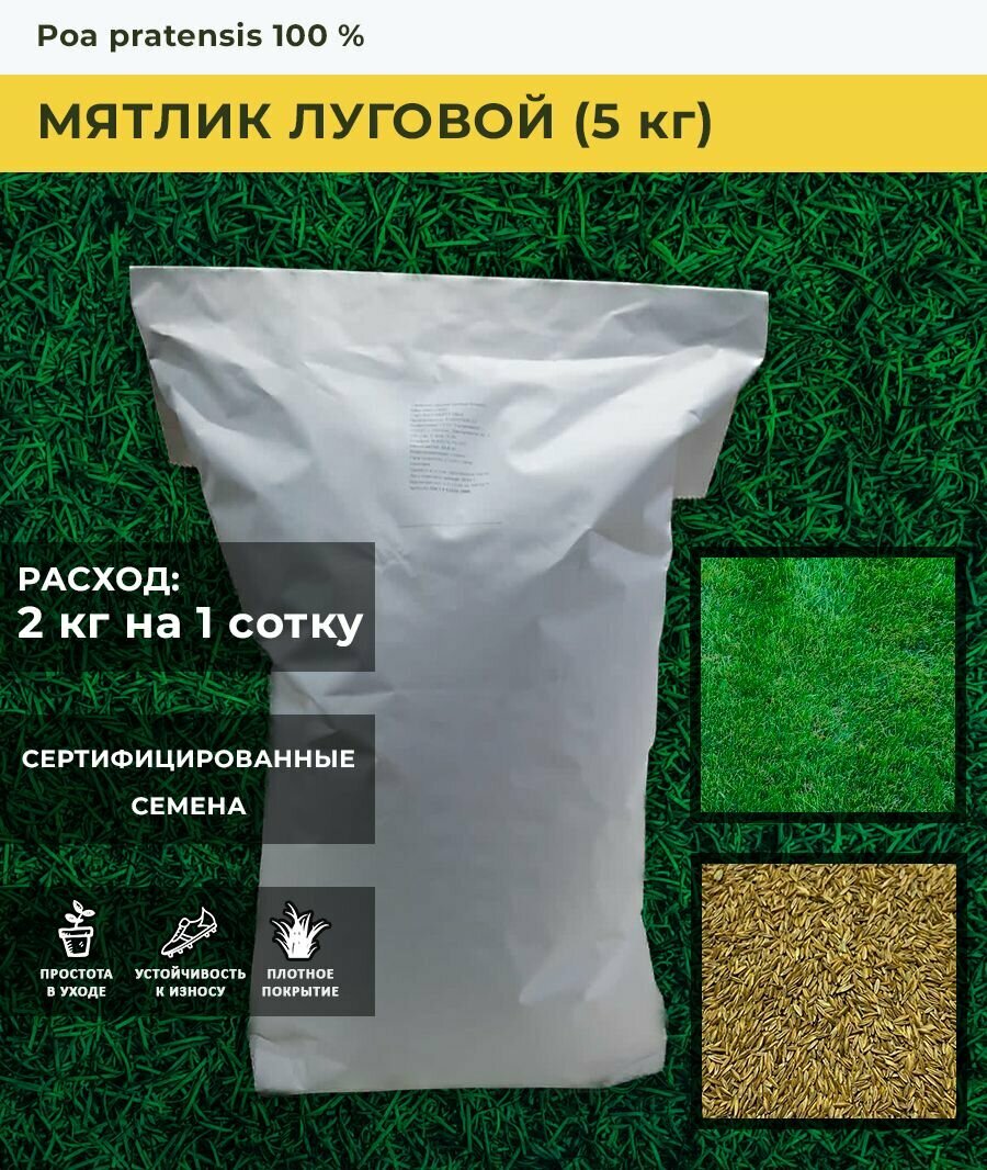 Семена газона Мятлик луговой (5 кг)