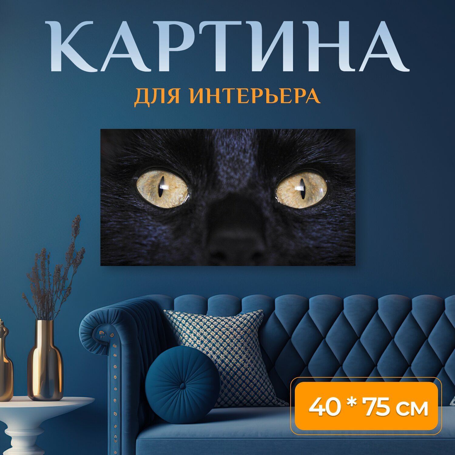 Картина на холсте "Кот, черный кот, животные" на подрамнике 75х40 см. для интерьера