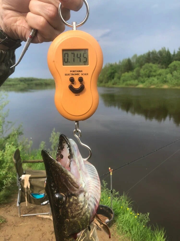 Электронный безмен "REXANT 72110"