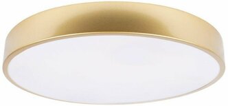 LOFT IT 10228/A Потолочный светильник LOFT IT Flims