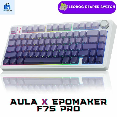 F 2028 f 2024