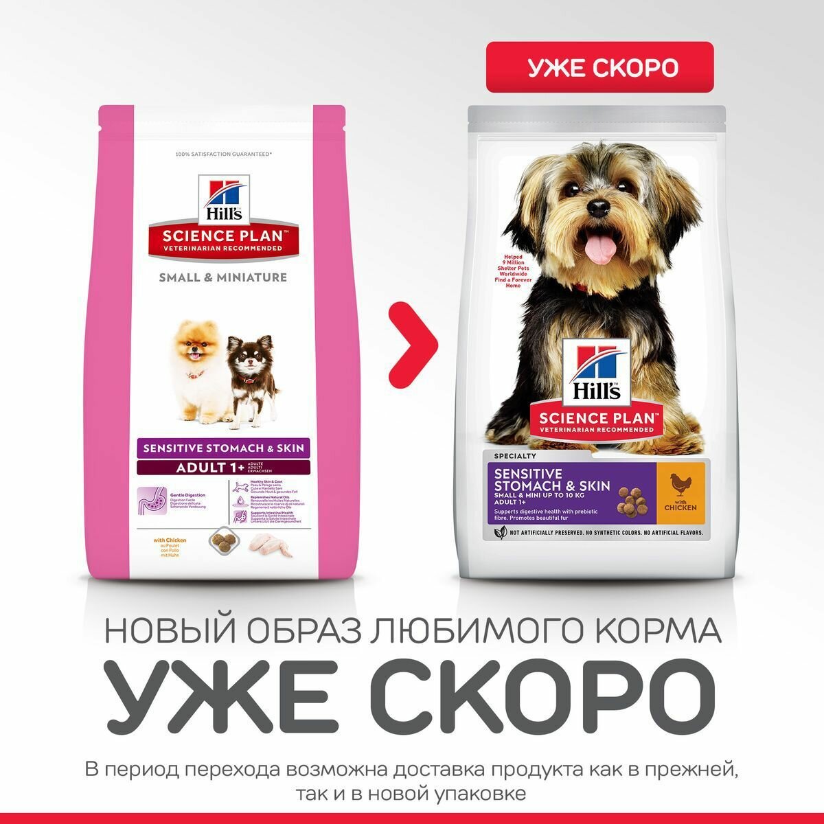 Сухой корм для собак Hills Science Plan для здоровья кожи и шерсти Курица 1.5кг HILL'S - фото №18