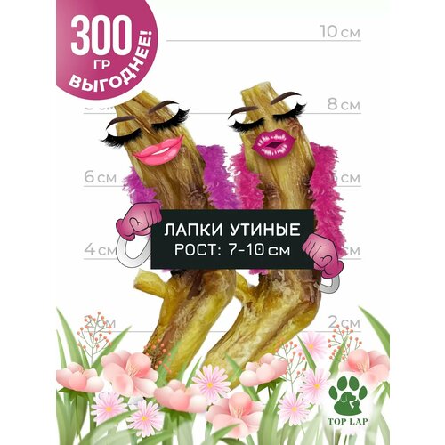 Утиные лапки для собак 300 грамм