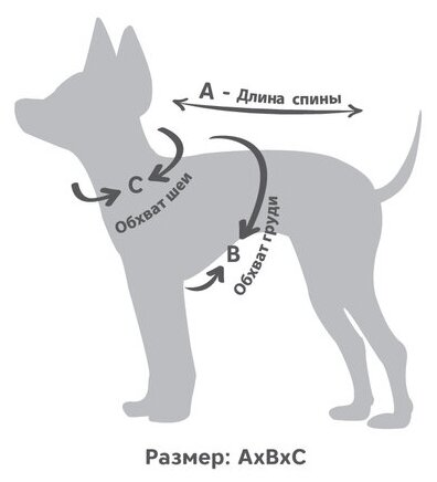 TRIOL свитер для собак Белочка бежевый (M) - фотография № 2