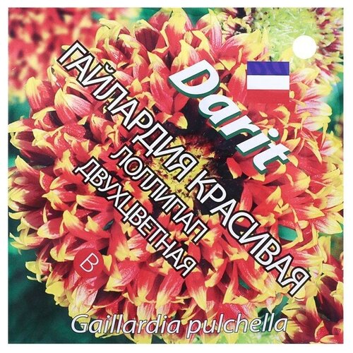 Семена цветов Гайлардия красивая Лоллипап двухцветная, Мн, DARIT 0,1 г