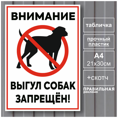 Табличка "Выгул собак запрещен" А4 (21х30 см) / Пластик 3мм +Скотч.