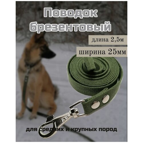 Поводок для собак брезентовый с усиленным карабином 2,5 метра
