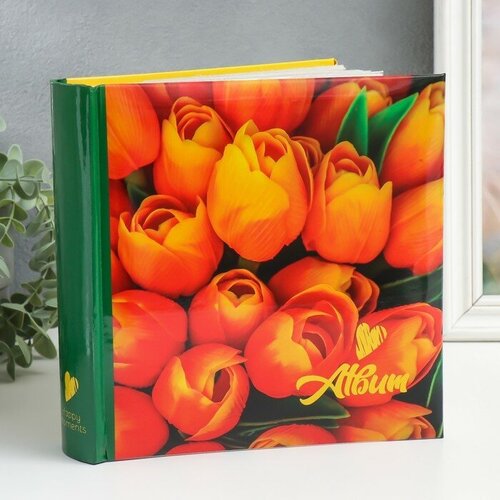 Фотоальбом на 200 фото 10х15 см кн. пер-т цветы (1шт.)