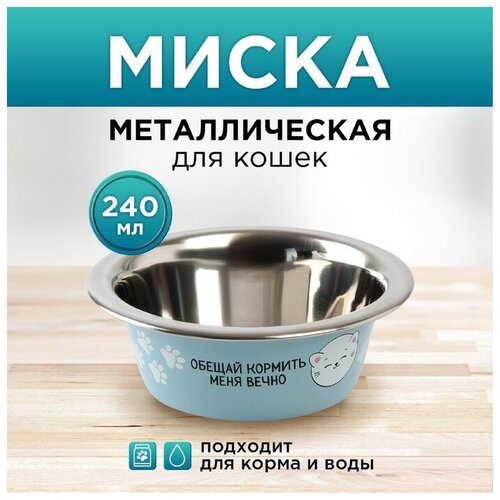 Пушистое счастье Миска для кошек и собак из нержавеющей стали «Обещай кормить меня вечно», 240 мл, 11 х 4 см