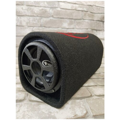 Сабвуфер активный 8 дюймов 570000₽