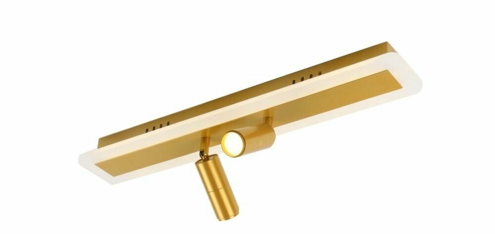 Спот потолочный настенный Arte Lamp Tommy A2607PL-22GO