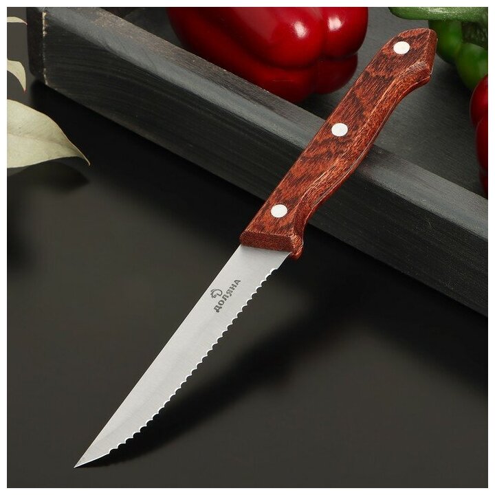 Доляна Нож для мяса и стейков Доляна Ecology, лезвие 11 см, цвет коричневый