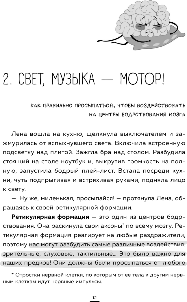 Вынос мозга. Чудеса восприятия и другие особенности работы нервной системы - фото №11