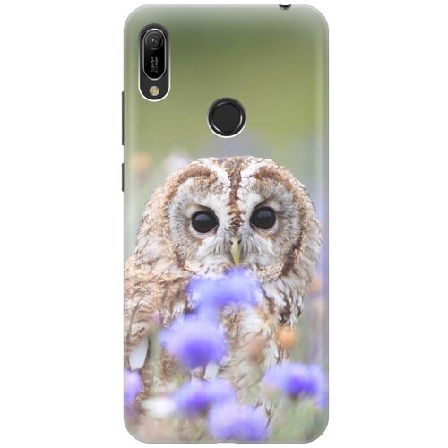 фото Ультратонкий силиконовый чехол-накладка для huawei y6 (2019) / honor 8a с принтом "сова и васильки" gosso