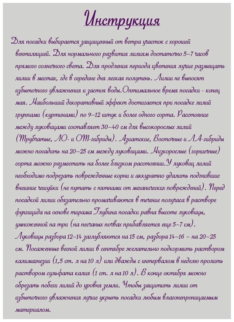 Лилия ЛА гибрид Бриндиси (Brindisi) луковицы 5 шт 12/14 - фотография № 3