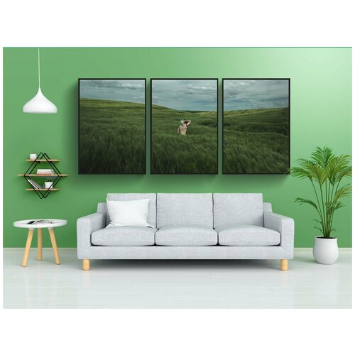 фото Набор модулных постеров для интерьера "природа, пейзаж, люди" 60x90 см. в тубусе, без рамки lotsprints