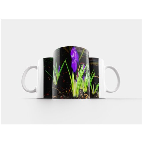 фото Кружка "крокус, цветок, цвести" 320 мл lotsprints