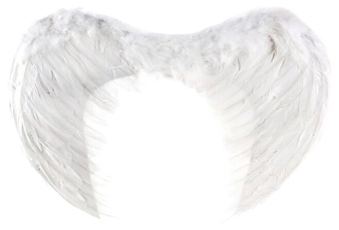 Крылья ангела, 55×40 см, цвет белый