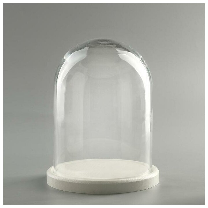фото Стеклянный купол-клош на деревянной подставке "Венсан - 1", 20х15 см, белый