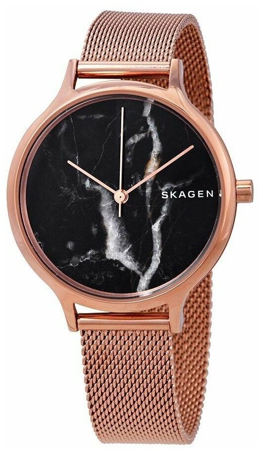 Наручные часы Skagen SKW2721