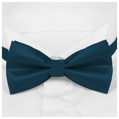 Галстук-бабочка Roberto Cassini BSI-55-1193