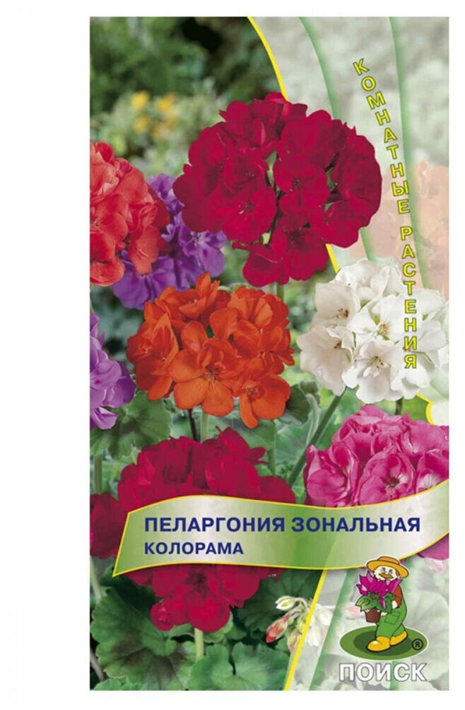 Семена ПОИСК Пеларгония зональная Колорама 0.05 г