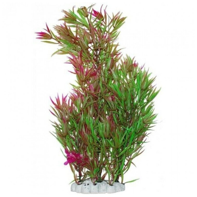 Уют Растение аквариумное Гетерантера зелено-фиолетовая, 44 см, 1*420,310кг