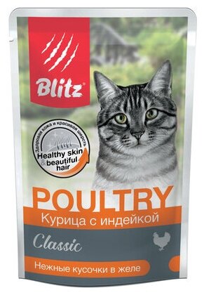 Blitz Паучи для кошек курица индейка в желе BCW05-1-00085 | Classic Chicken Turkey in Jelly Adult Cat All Breeds 0,085 кг 53612 (2 шт)