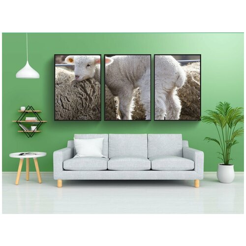 фото Набор модулных постеров для интерьера "детка, овец, ферма" 60x90 см. в тубусе, без рамки lotsprints