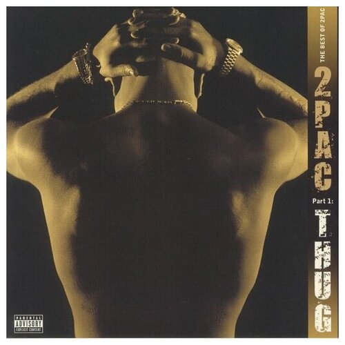 2Pac – The Best Of 2Pac - Part 1: Thug 2pac виниловая пластинка 2pac best of life