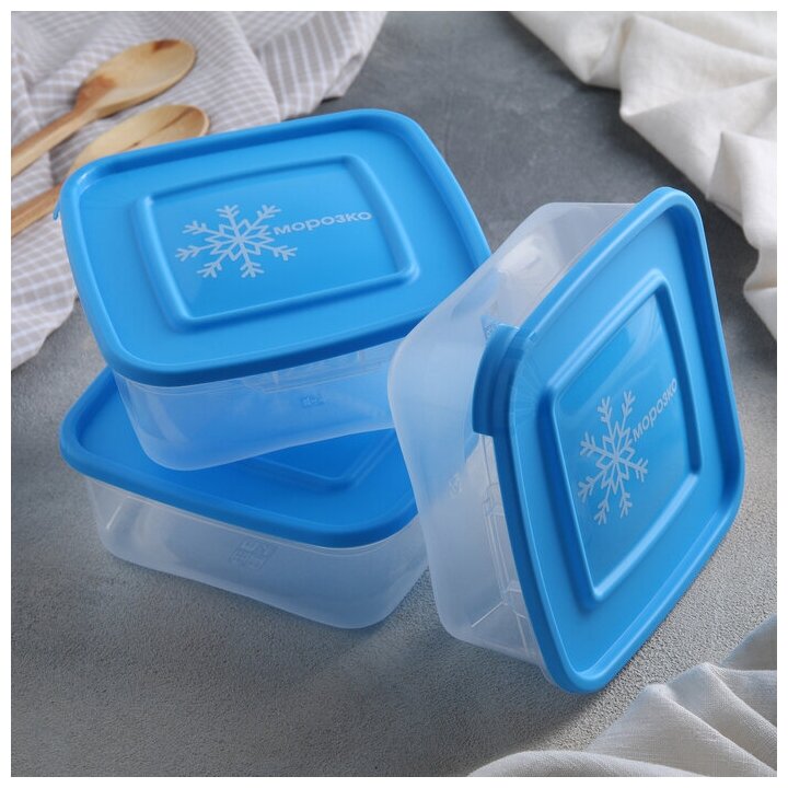 Набор контейнеров для замораживания продуктов "Морозко", 3 шт, 700 мл, цвет микс