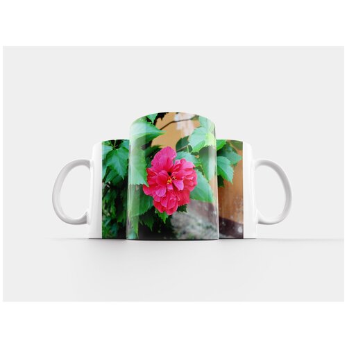 фото Кружка "орхидеи, цвести, цветок" 320 мл lotsprints