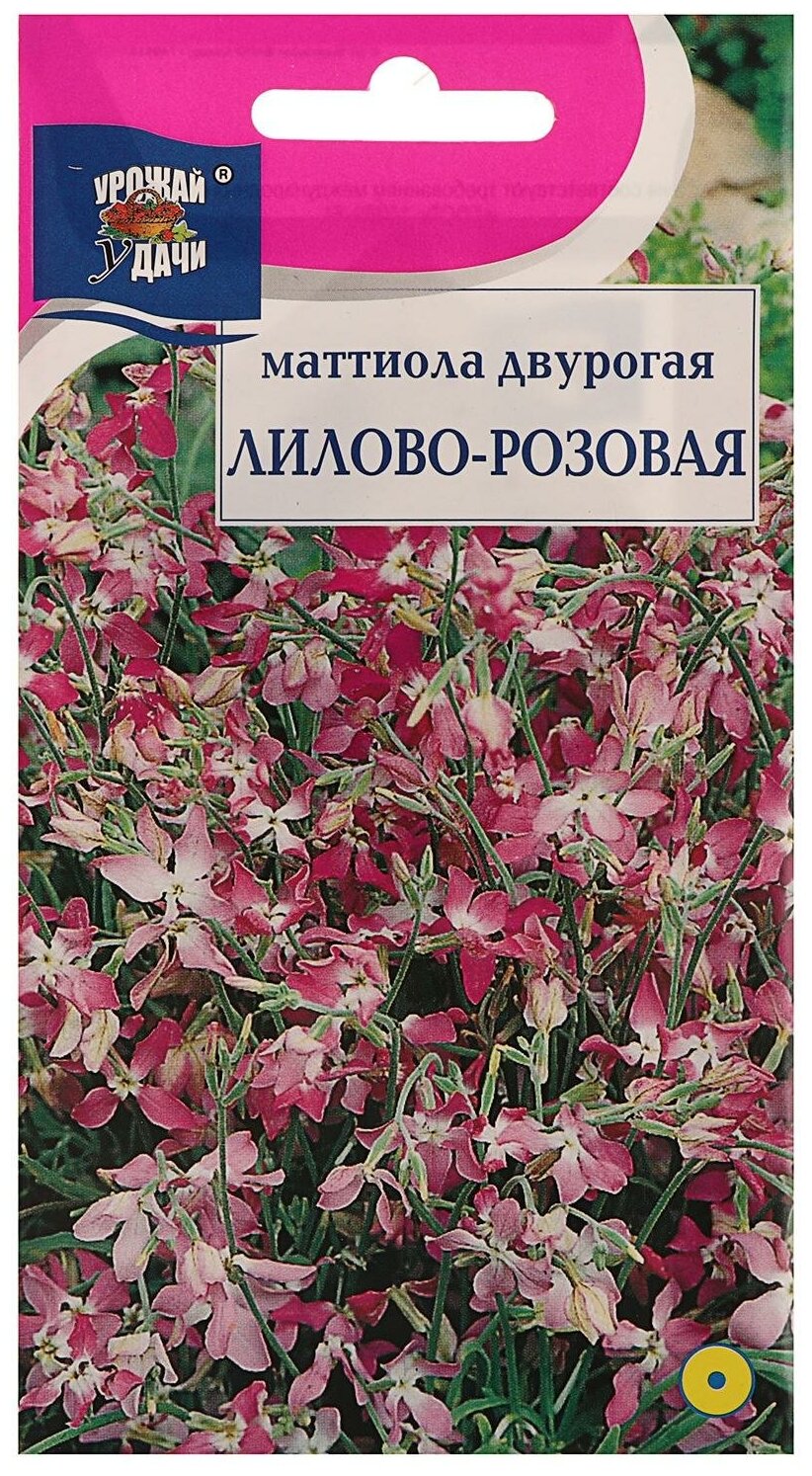 Семена цветов Цв Маттиола Двурогая,0,3 гр