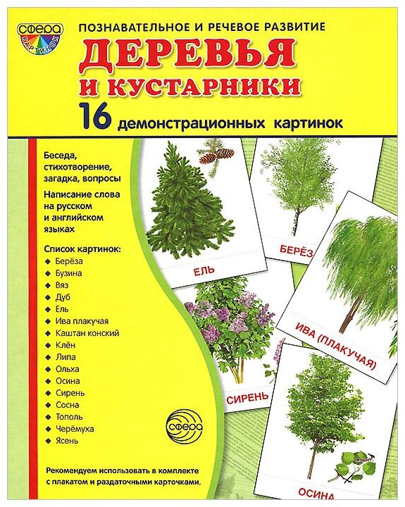 Деревья и кустарники. 16 демонстрационных картинок с текстом в папке на обороте (173х220 мм)