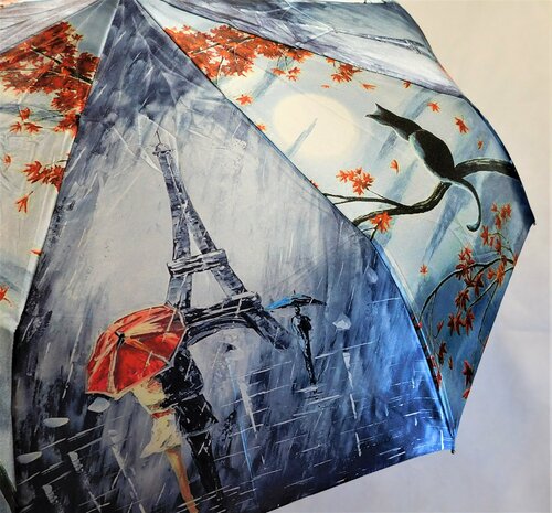 Зонт Romit Umbrella, автомат, 2 сложения, купол 98 см., 9 спиц, обратное сложение, для женщин, синий